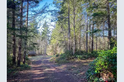 222 X Octopus Court, Quilcene, WA 98376 - Photo 6