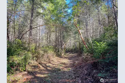 222 X Octopus Court, Quilcene, WA 98376 - Photo 18