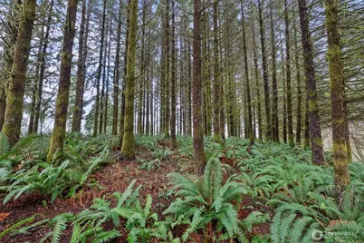 570 Wynooche Valley Road, Montesano, WA 98563 - Photo 24