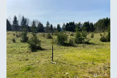 0 Xxx 250th Ave E, Orting, WA 98360 - Photo 2