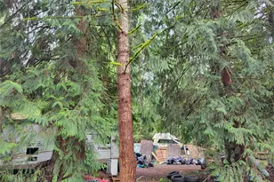 5603 E Lake Bosworth Dr, Snohomish, WA 98290 - Photo 4