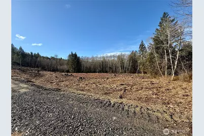 4223 183rd Avenue Ct SW, Longbranch, WA 98351 - Photo 28