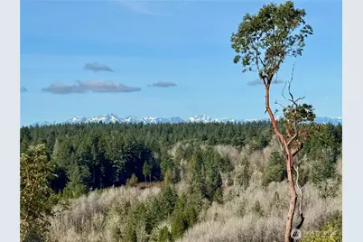 4223 183rd Avenue Ct SW, Longbranch, WA 98351 - Photo 6