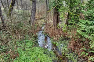 750 Old Belfair Hwy, Belfair, WA 98528 - Photo 38