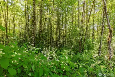 11 Lot Cassie Place NW, Poulsbo, WA 98370 - Photo 1