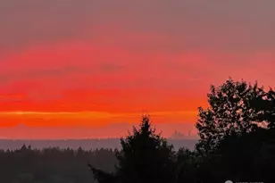 5525 Highland Dr, Bellevue, WA 98006 - Photo 6