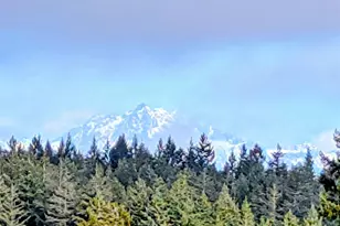 11108 Bliss Cochrane Rd NW, Gig Harbor, WA 98329 - Photo 8