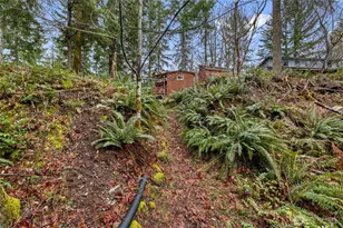 155 Nisqually Way, Ashford, WA 98304 - Photo 20