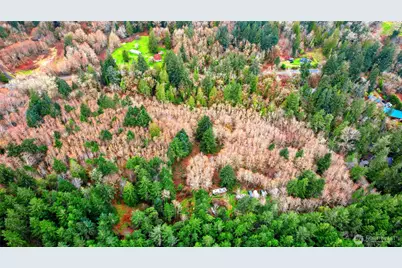 5118 Key Peninsula Highway SW, Longbranch, WA 98351 - Photo 6