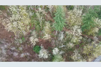 461 Clearwater Road, Kelso, WA 98626 - Photo 8