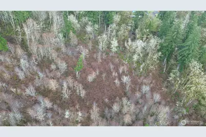 461 Clearwater Road, Kelso, WA 98626 - Photo 12