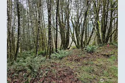 461 Clearwater Road, Kelso, WA 98626 - Photo 30