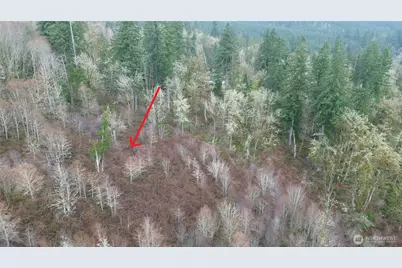 461 Clearwater Road, Kelso, WA 98626 - Photo 14