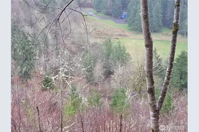 461 Clearwater Road, Kelso, WA 98626 - Photo 20