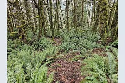 461 Clearwater Road, Kelso, WA 98626 - Photo 28