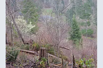 461 Clearwater Road, Kelso, WA 98626 - Photo 18