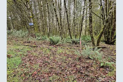 461 Clearwater Road, Kelso, WA 98626 - Photo 32