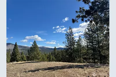 79 Bench Creek Road, Tonasket, WA 98855 - Photo 18