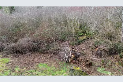 573 Clearwater Road, Kelso, WA 98626 - Photo 14