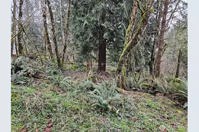 573 Clearwater Road, Kelso, WA 98626 - Photo 28