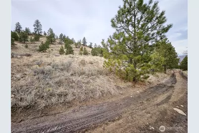 1 Tbd Badger Road, Tonasket, WA 98855 - Photo 8