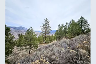 1 Tbd Badger Road, Tonasket, WA 98855 - Photo 4