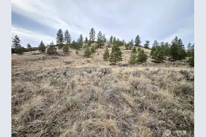 1 Tbd Badger Road, Tonasket, WA 98855 - Photo 2