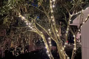 5244 Deer Harbor Rd, Orcas Island, WA 98245 - Photo 14