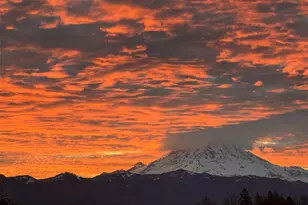 21729 Quiet Water Loop, Lake Tapps, WA 98391 - Photo 40