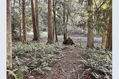 9999 S Sequim Ave Parcel B, Sequim, WA 98382 - Photo 12