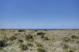 1317 Ocean Shores Blvd SW, Ocean Shores, WA 98569 - Photo 6