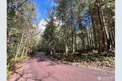 9999 S Sequim Ave Parcel C, Sequim, WA 98382 - Photo 6