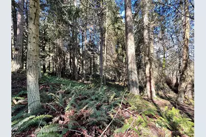 9999 S Sequim Ave Parcel C, Sequim, WA 98382 - Photo 8