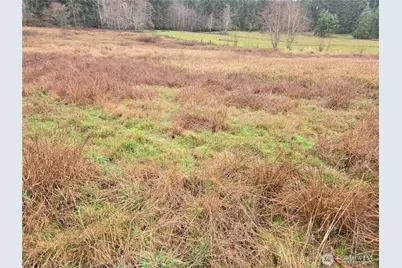 754 Cousins Road, Chehalis, WA 98532 - Photo 10