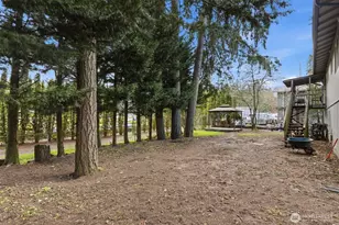 3902 Ct E 246th St, Spanaway, WA 98387 - Photo 34