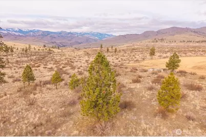 817 Bill Shaw Road, Methow, WA 98834 - Photo 22