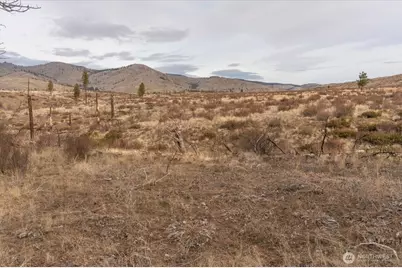 817 Bill Shaw Road, Methow, WA 98834 - Photo 10