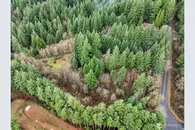 4724 NE 292nd Avenue, Camas, WA 98607 - Photo 4