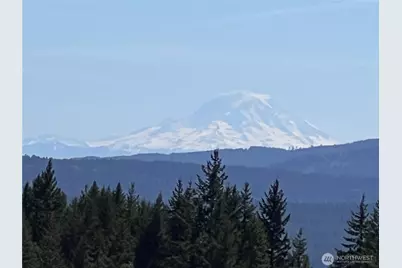 59 X Moose Mountain Road, Brinnon, WA 98320 - Photo 14