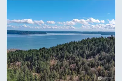 59 X Moose Mountain Road, Brinnon, WA 98320 - Photo 12