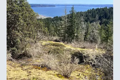 59 X Moose Mountain Road, Brinnon, WA 98320 - Photo 22