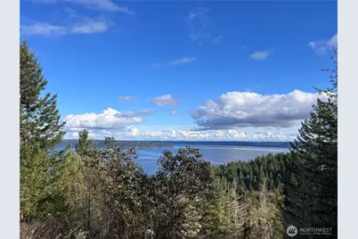 59 X Moose Mountain Road, Brinnon, WA 98320 - Photo 1