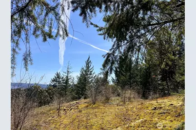 59 X Moose Mountain Road, Brinnon, WA 98320 - Photo 20