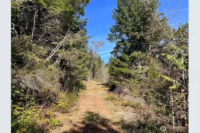 59 X Moose Mountain Road, Brinnon, WA 98320 - Photo 18