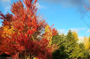 108 Hilley Dr, Chehalis, WA 98532 - Photo 32