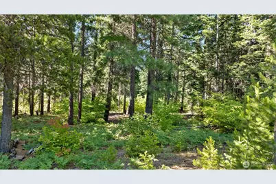 131 Goat Creek Lane, Cle Elum, WA 98922 - Photo 12