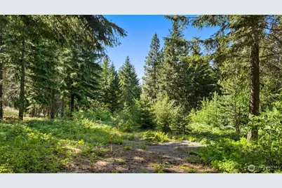 131 Goat Creek Lane, Cle Elum, WA 98922 - Photo 4