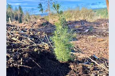 4319 183rd Avenue Ct SW, Longbranch, WA 98351 - Photo 30