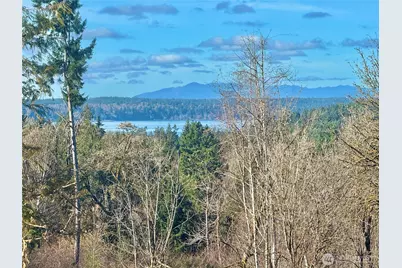 4319 183rd Avenue Ct SW, Longbranch, WA 98351 - Photo 10