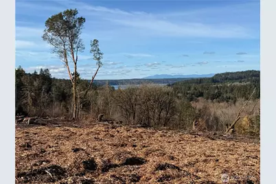 4319 183rd Avenue Ct SW, Longbranch, WA 98351 - Photo 16